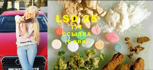 ГАЛЛЮЦИНОГЕННЫЕ ГРИБЫ Армянск