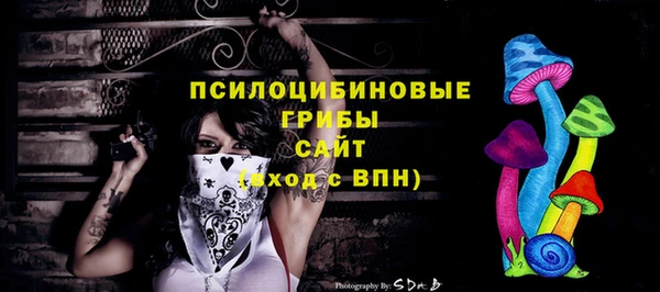 ГАЛЛЮЦИНОГЕННЫЕ ГРИБЫ Армянск